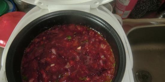 Borscht i en multikoker Polaris