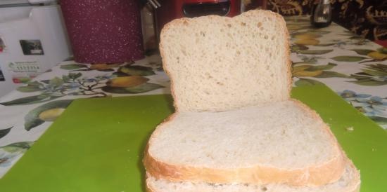 Pane di grano su kefir con uovo in una macchina per il pane