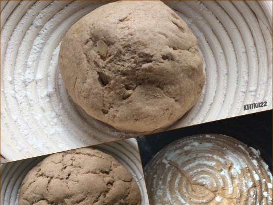 Tarwe-roggebrood op donker bier met uien