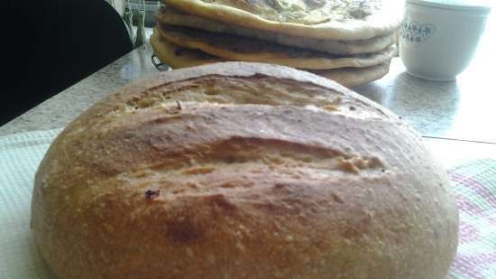 Pane Integrale Con Lievito Di Banana Liquido