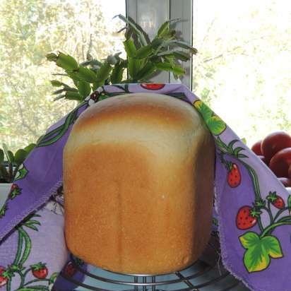 Pane italiano in una macchina per il pane