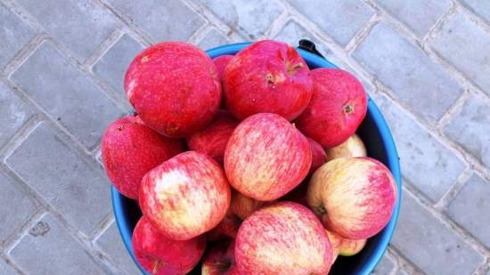 Queso de manzana