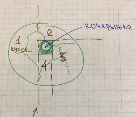 حيل وأسرار الطهي الصغيرة