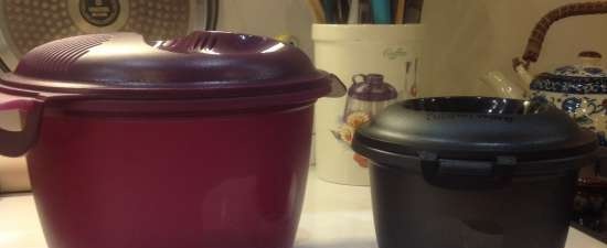 Plastic dishes Tupperware - reviews