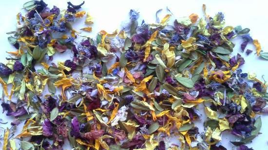 Té fermentado elaborado con hojas de jardín y plantas silvestres (clase magistral)