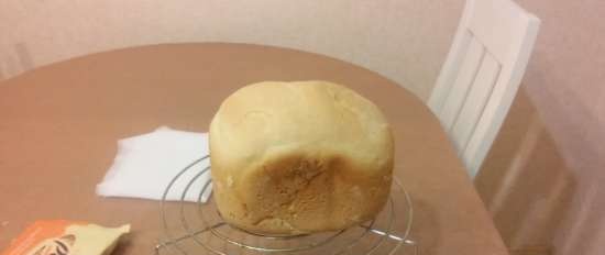 Masa madre de centeno (producto semiacabado)