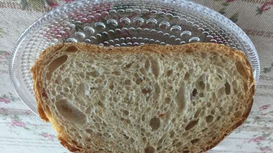 Pain de Campagne, Peter Reinhart (piekarnik)