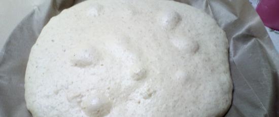 Impasto per tortillas, pizza, khachapuri in 5 minuti al giorno