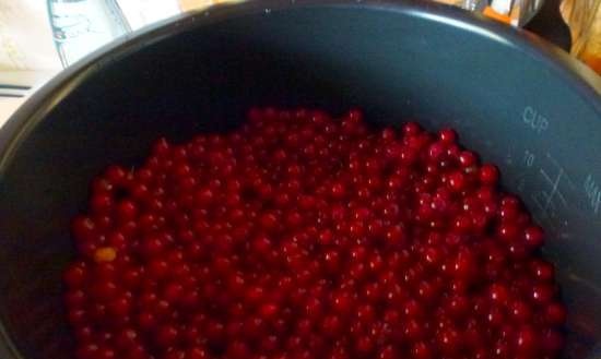 Red currant juice (for winter) in a Brand 6051 pressure cooker