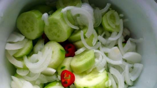 Vogtlandische Schuttelgurken - very quickly pickled cucumbers in Vogtland style