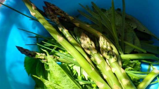 Romige salade met asperges en tuinkruiden