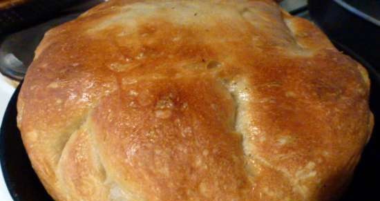 Roman ciabatta in Brand 6050 pressure cooker