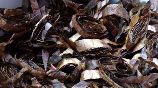 Fermented tea made from leaves of garden and wild plants (master class)