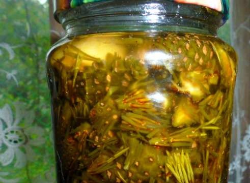 Coniferous Rosehip Jam