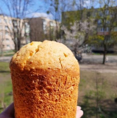 Walang lebadura curd lemon-lavender cake na may mga seresa at pinatuyong mga aprikot