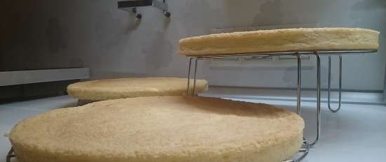 Torta classica (biscotto e crema)