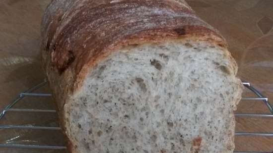 Pane alla cipolla e aneto (macchina per il pane)