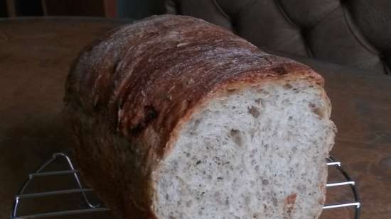 Pane alla cipolla e aneto (macchina per il pane)