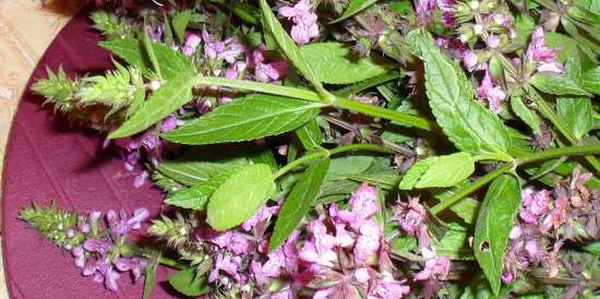 Tè a lunga fermentazione "Apple-sage sonata"