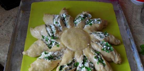 Octopus pie with whole grain flour, cottage cheese and herbs