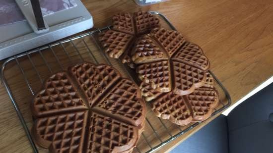 Produttori di waffle belgi frifri, parlaci di loro.