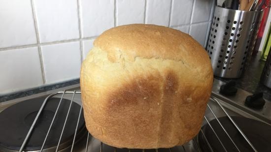 Anadama - Famous New England Bread (Peter Reinhart) (forno)