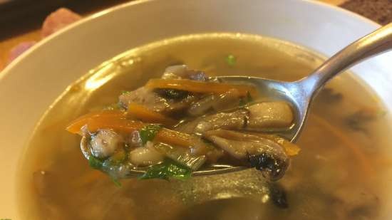 Sopas na may mga champignon at barley sa isang multicooker Steba DD2