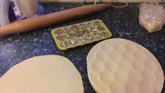 Preparación de albóndigas y no solo en moldes de hielo de silicona