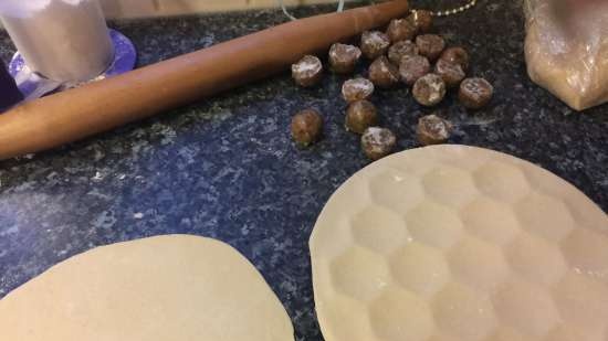 Preparation of meatballs and not only in silicone ice molds