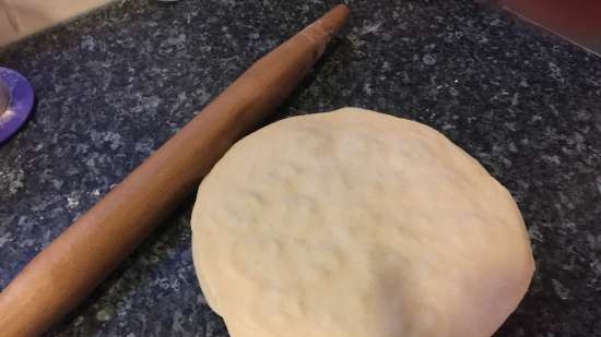 Preparación de albóndigas y no solo en moldes de hielo de silicona