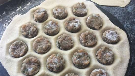 Preparation of meatballs and not only in silicone ice molds