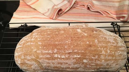 Pain de Campagne de Peter Reinhart (forn)