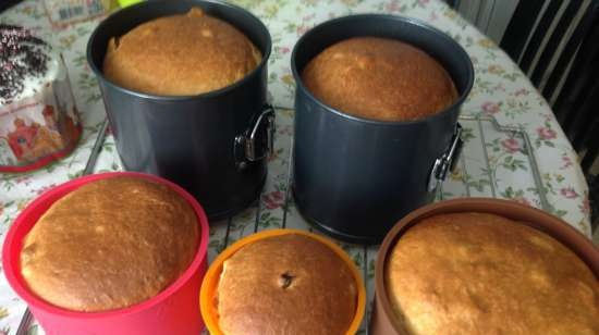 Kulich con Myasoedovskaya en el horno (clase magistral)