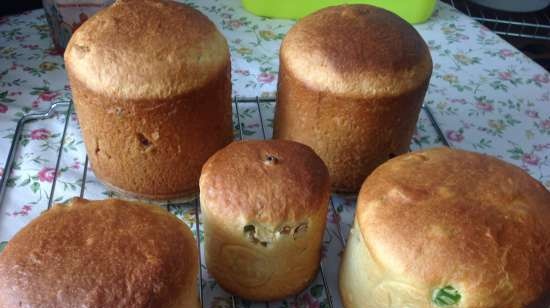 Kulich con Myasoedovskaya en el horno (clase magistral)