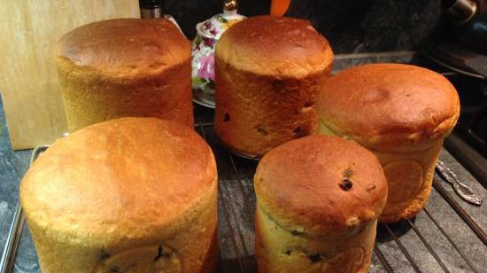 Kulich con Myasoedovskaya al forno (master class)