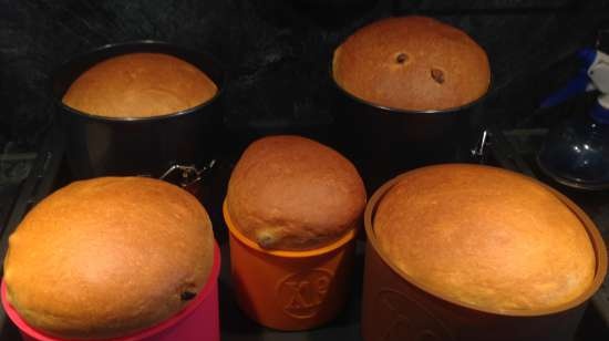 Kulich con Myasoedovskaya en el horno (clase magistral)