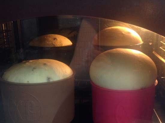 Kulich with Myasoedovskaya in the oven (master class)