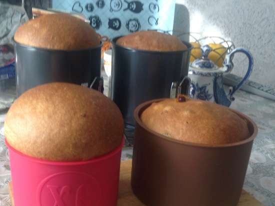 Kulich עם Myasoedovskaya בתנור (כיתת אמן)