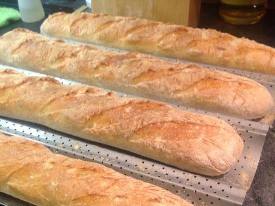 Old dough baguettes