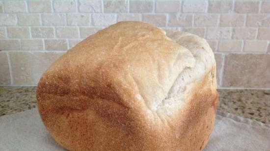 Pane di frumento con lievito di cetriolo in una macchina per il pane Panasonic