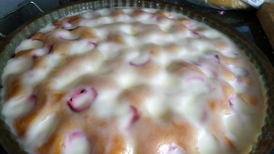 Torta di prugne con ripieno di panna acida