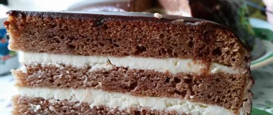 Torta notturna di Praga