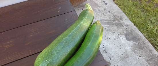 Heh from zucchini