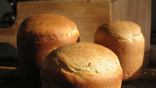 Torta di Pasqua su lievito liquido d'uva