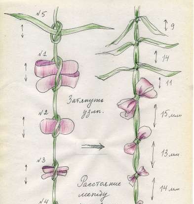 Té de Ivan (fermentación de hojas de fireweed) - clase magistral