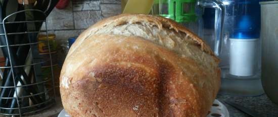 Pane Integrale Con Lievito Di Banana Liquido