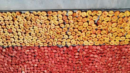 Zongedroogde tomaten in de oven in geurige olie (koken en inblikken)