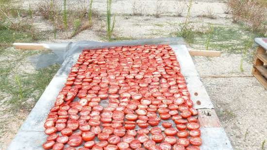 Zongedroogde tomaten in de oven in geurige olie (koken en inblikken)