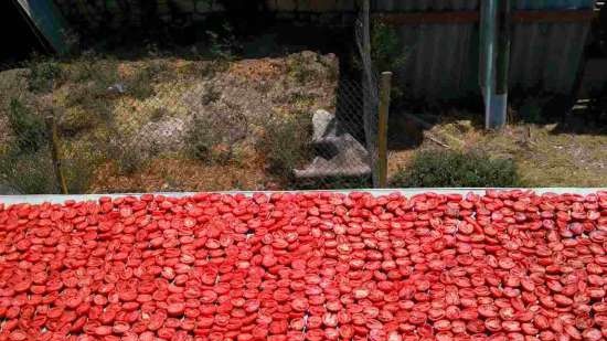 Zongedroogde tomaten in de oven in geurige olie (koken en inblikken)