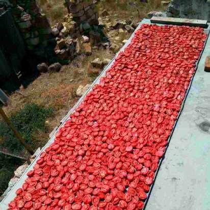 Pomodori secchi al forno in olio profumato (cottura e conserve)